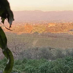  Holiday home Locazione Turistica Dream House Marzia