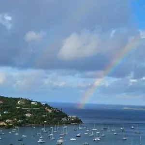  Apartment Immaculate Ocean Views Above The Westin - Large Deck United States Virgin Islands